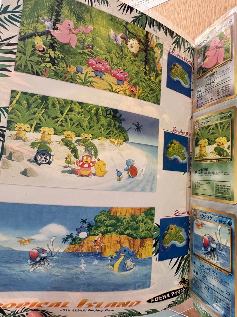 旧裏　ポケモンカード　レインボーアイランド　トロピカルアイランド　全１８枚セット