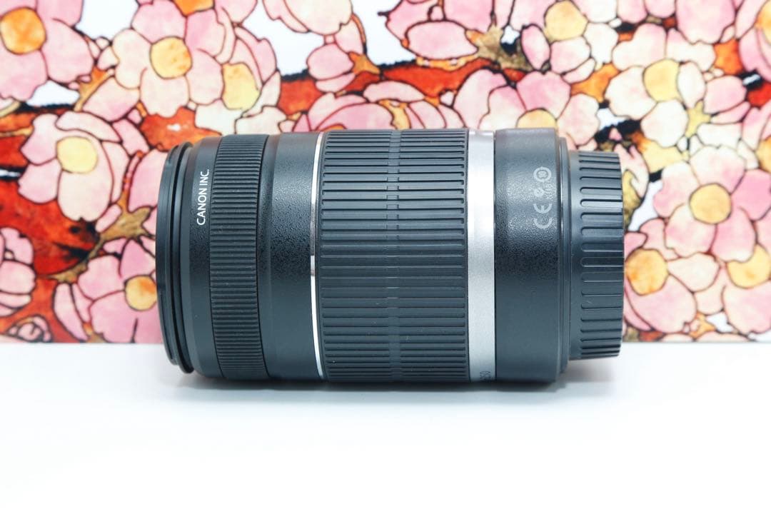 ❤お手頃望遠❤キヤノン EF-S 55-250mm F4-5.6 IS ❤