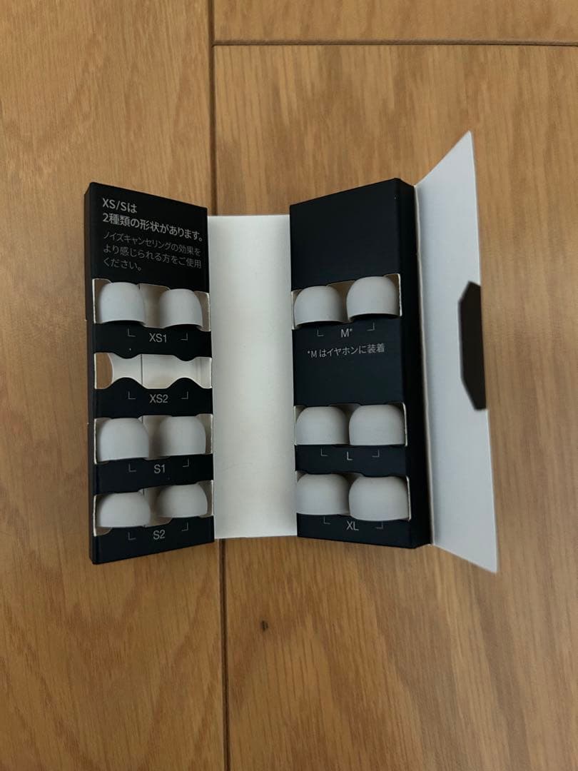 Technics EAH-AZ80 ワイヤレスイヤホン 2024/11購入・美品