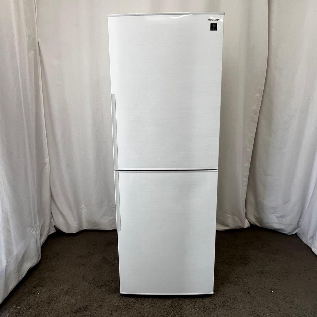 127❤️冷蔵庫　SHARP 　300ℓ級　一人暮らし　同棲　安い　中古　設置無料