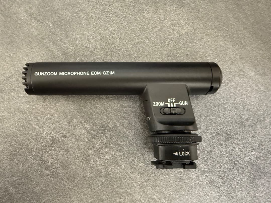 SONY FDR-AX45 デジタル4Kビデオカメラ