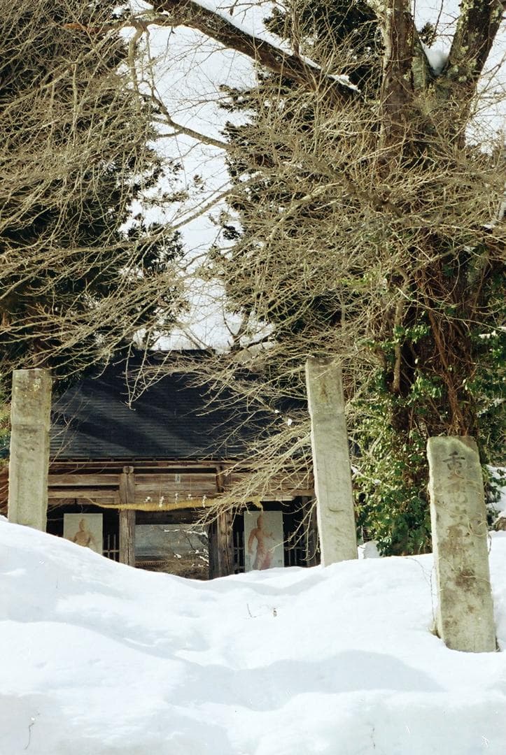 「実写確認整備品」KodakレチナⅡｃ／Retina Xenon50mmf2.8