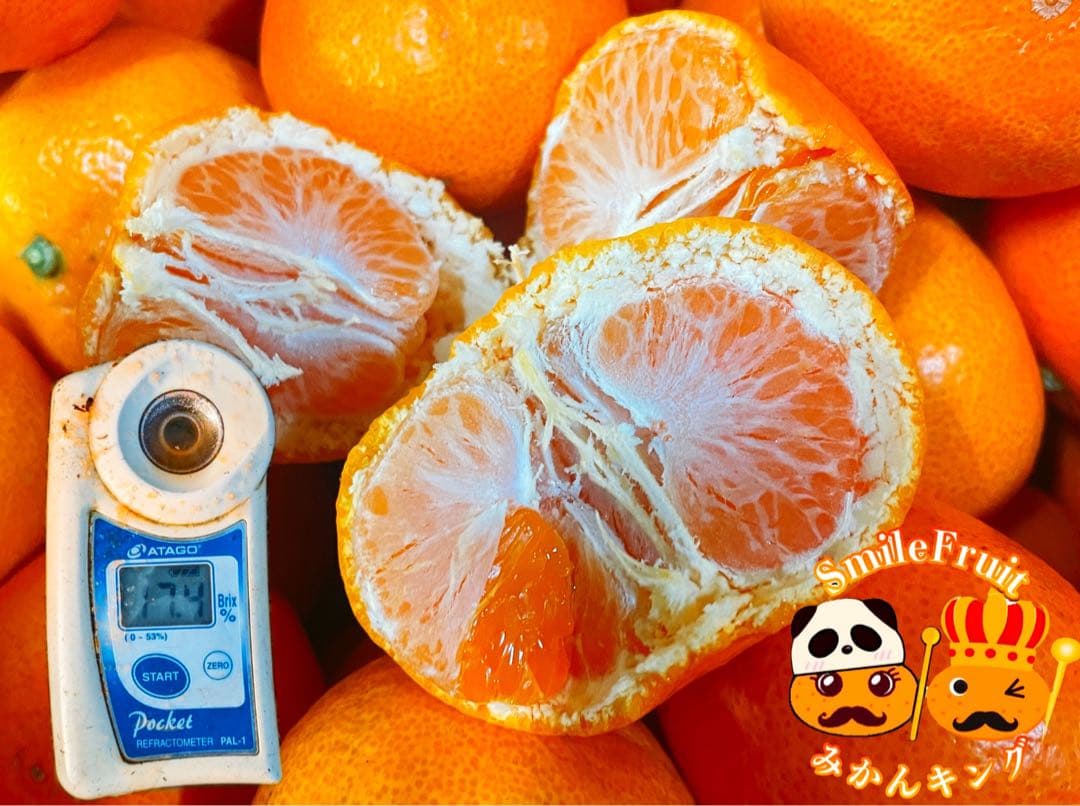 専用出品　ねこ✧プロフ必読様　2箱