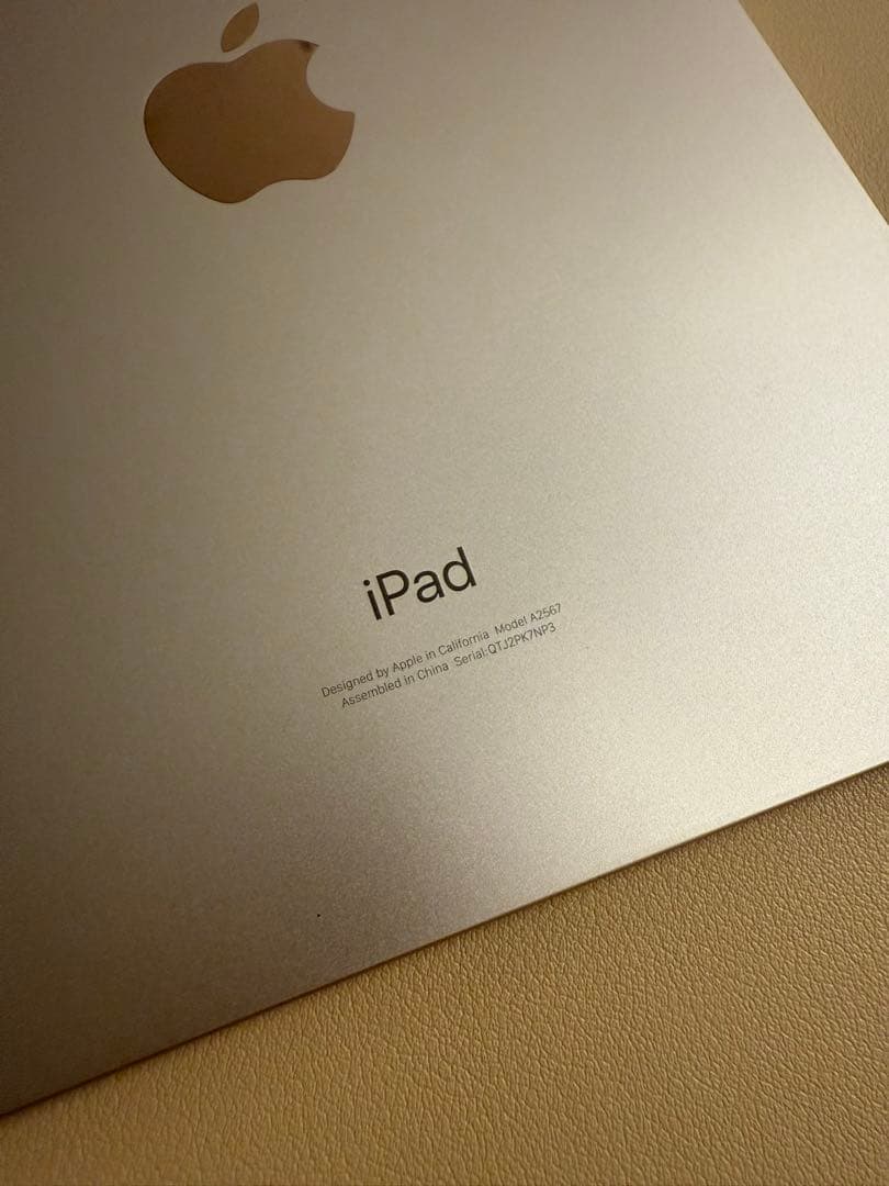 Apple iPad mini ピンク 本体