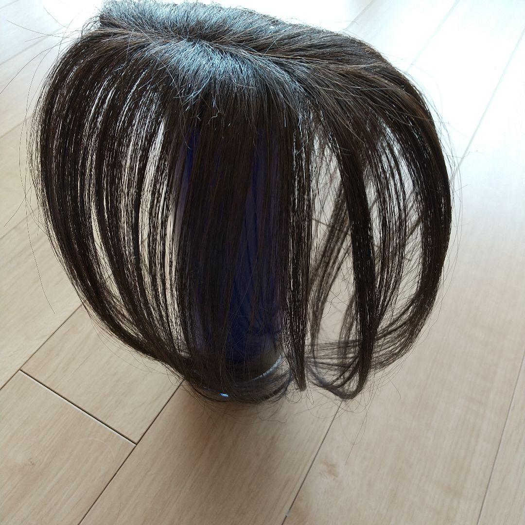 バジル　チャチャ　ロングダークブラウン