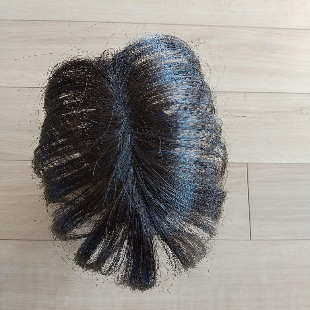 バジル　チャチャ　ロングダークブラウン