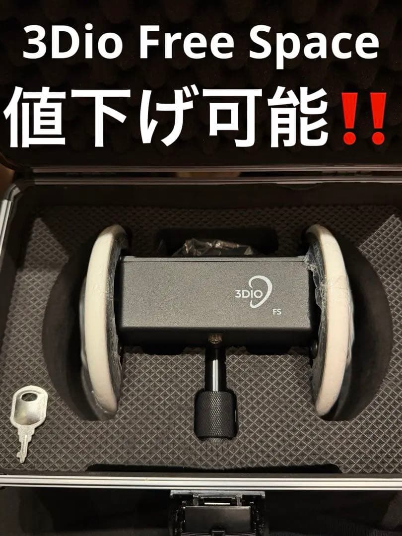 【専用ケース付 最安値】3DIO Free Spare