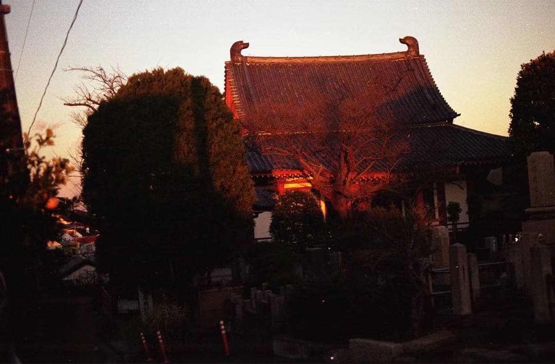 レンズ(単焦点) leica r summicron 90/2