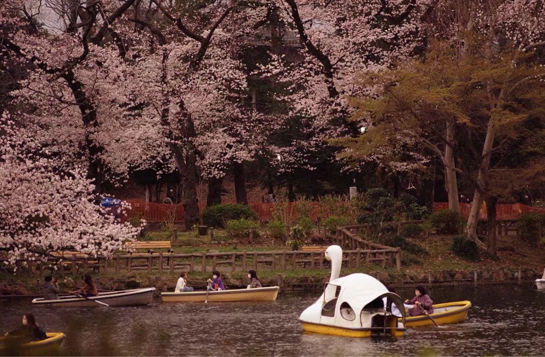 レンズ(単焦点) leica r summicron 90/2
