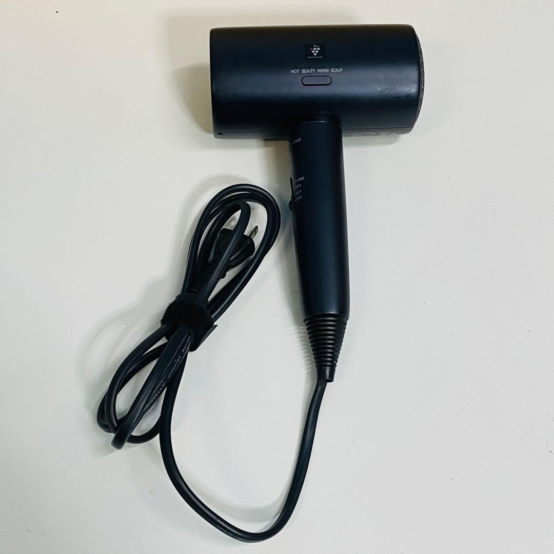 SHARP　IB-P801 ジャンク