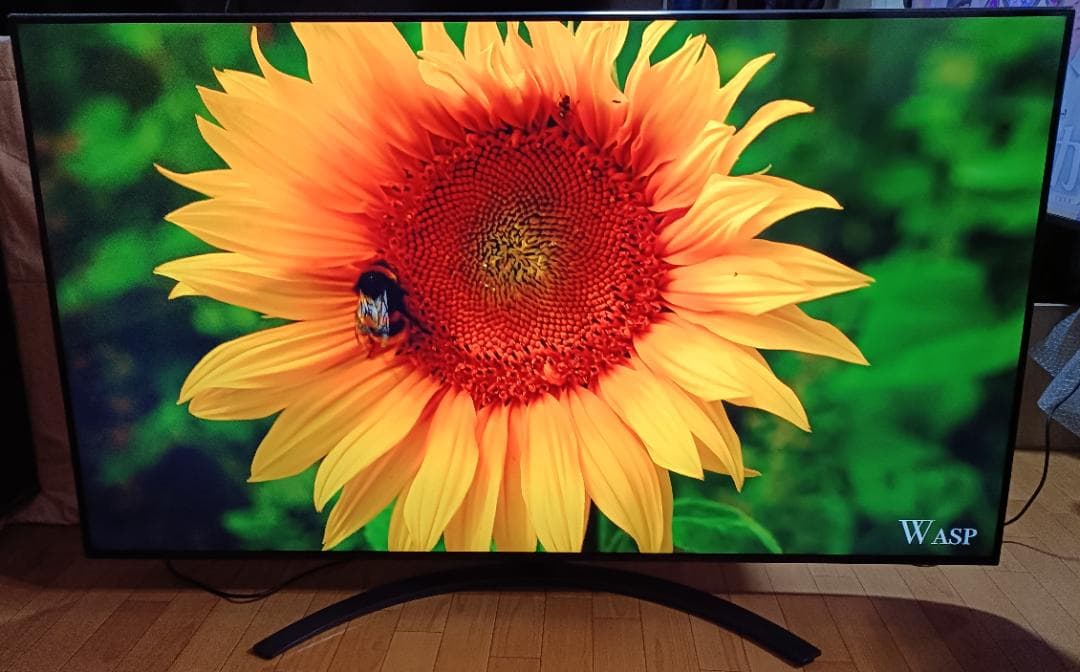 美品 20年製 65V型 LG 65NANO91JNA 4K液晶テレビ