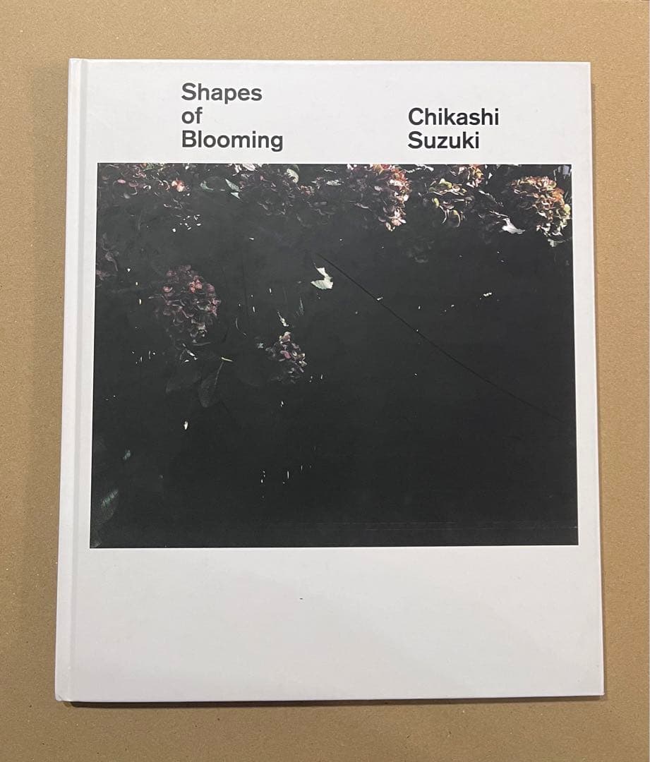 Shapes of Blooming Chikashi Suzuki 鈴木親