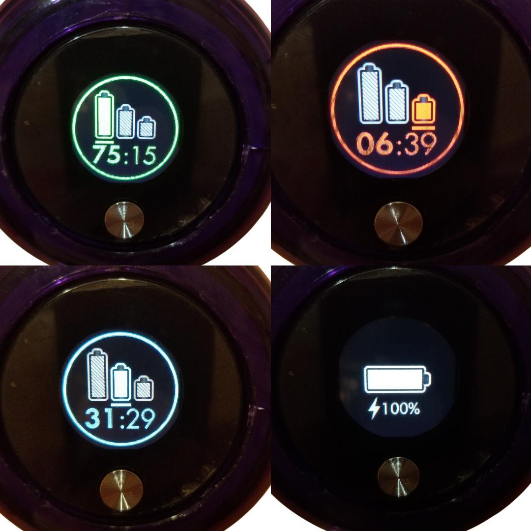 ダイソン掃除機　V11(SV14)分解洗浄メンテナンス済