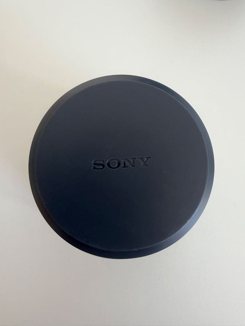 SONY E 単焦点 SEL16F28 & 魚眼コンバータ VCL-ECF1