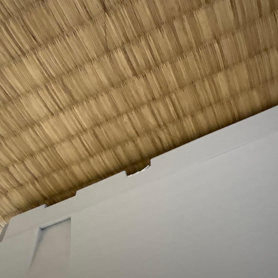 コロナ 壁掛型遠赤外線 ウォールヒート