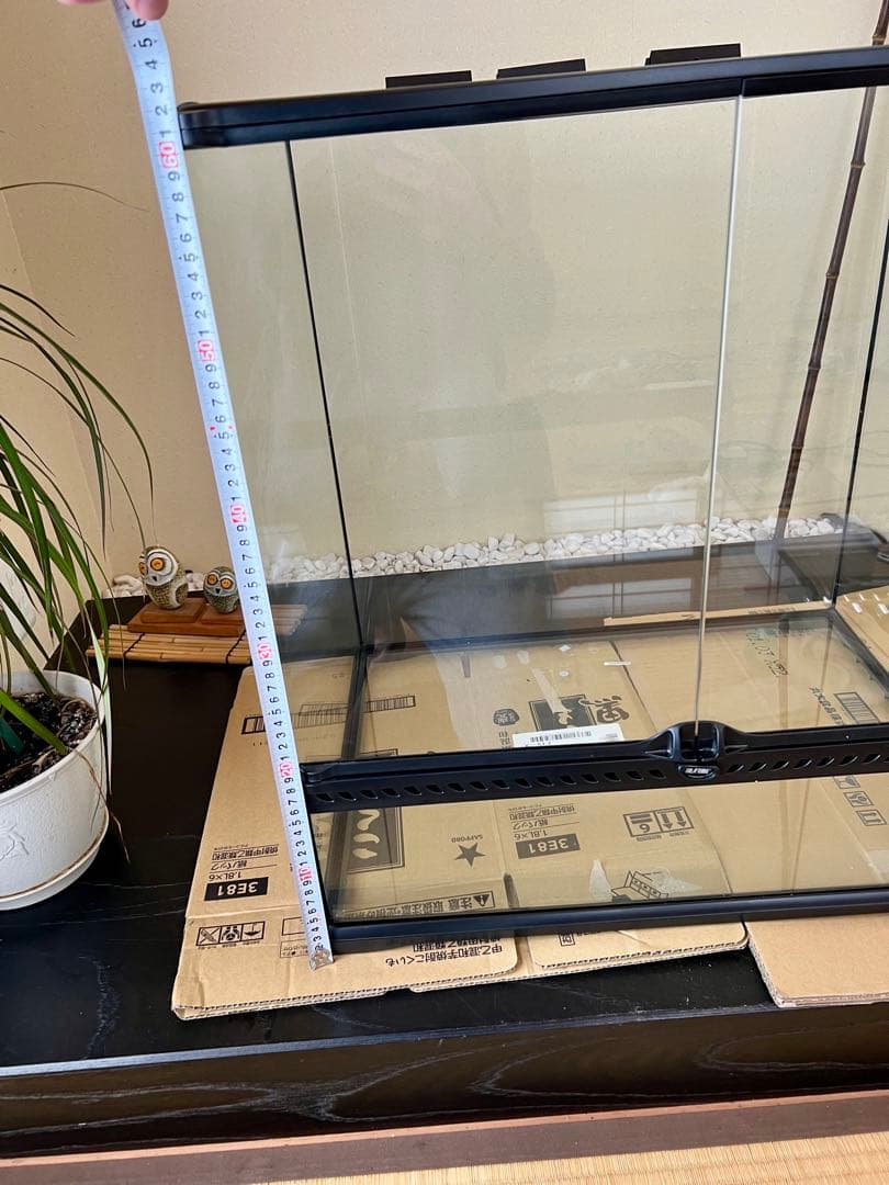 GEX EXOTERRA グラステラリウム6060