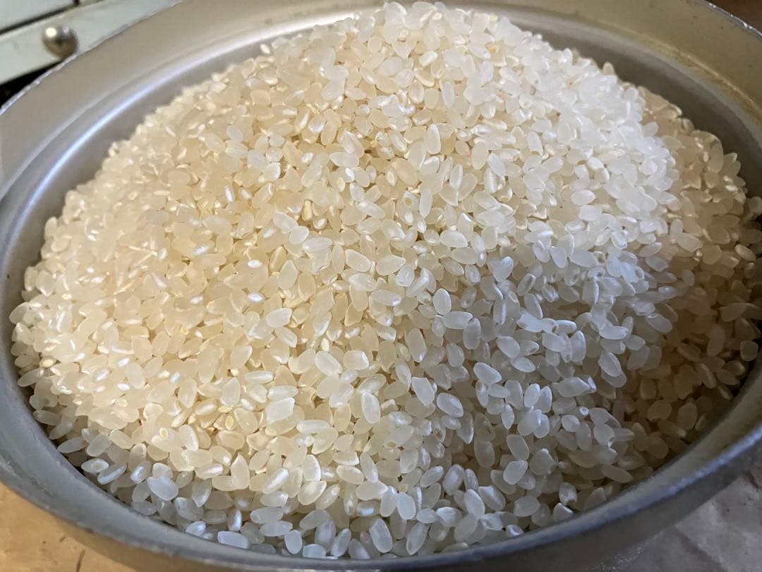 令和7年産【丹波篠山コシヒカリ】玄米10kg 7年産も極上米/食味値87点