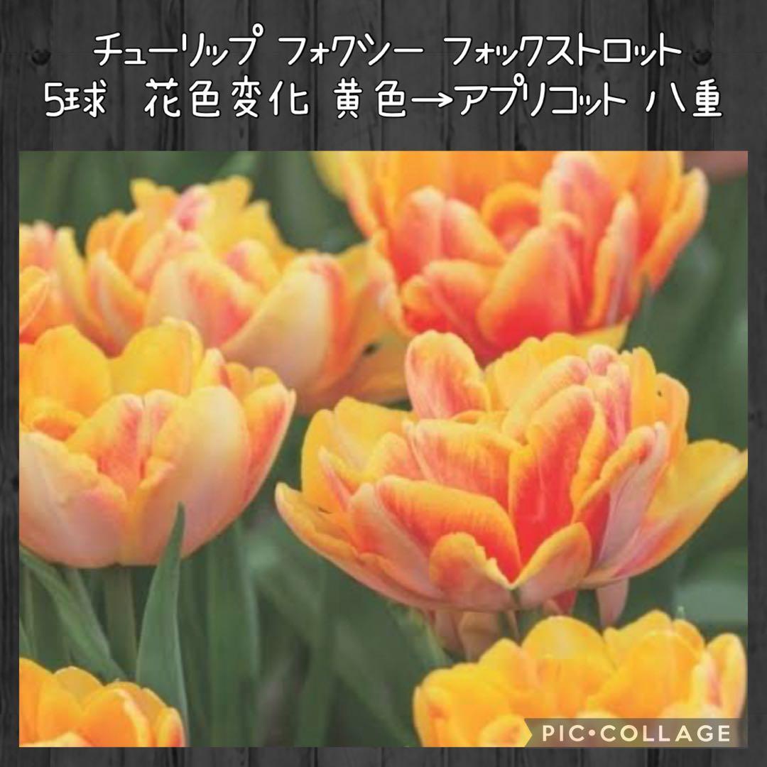 awe様 リクエスト 10点 まとめ商品