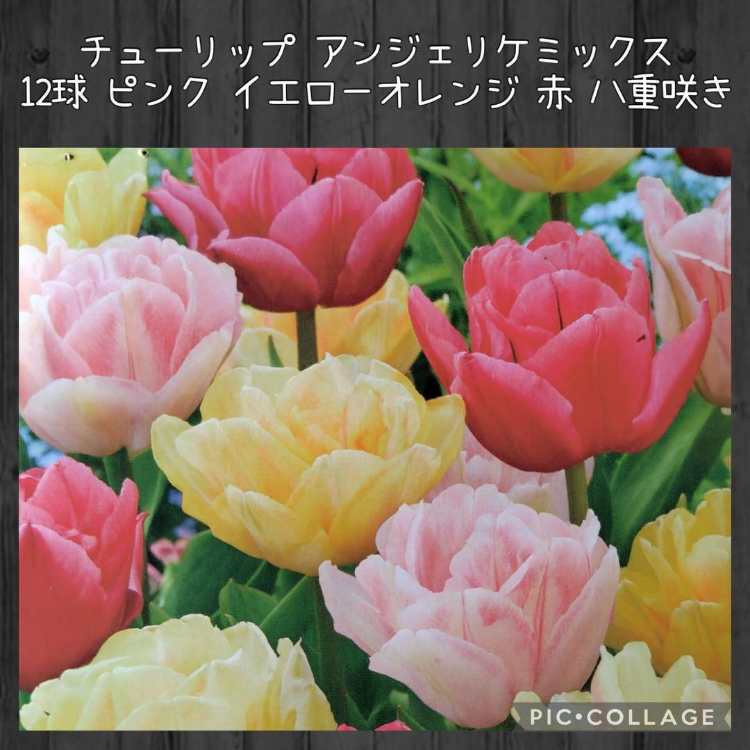 awe様 リクエスト 10点 まとめ商品