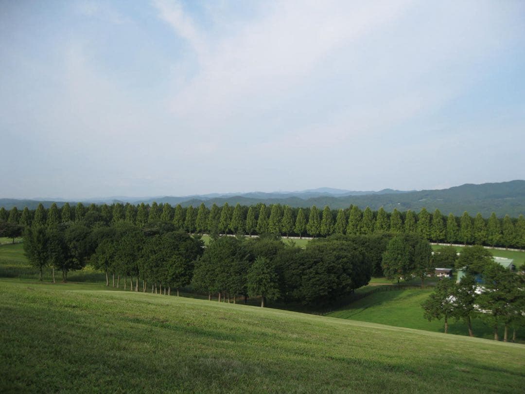 動作品　Canon PowerShot A1000 IS ※説明欄読んでください