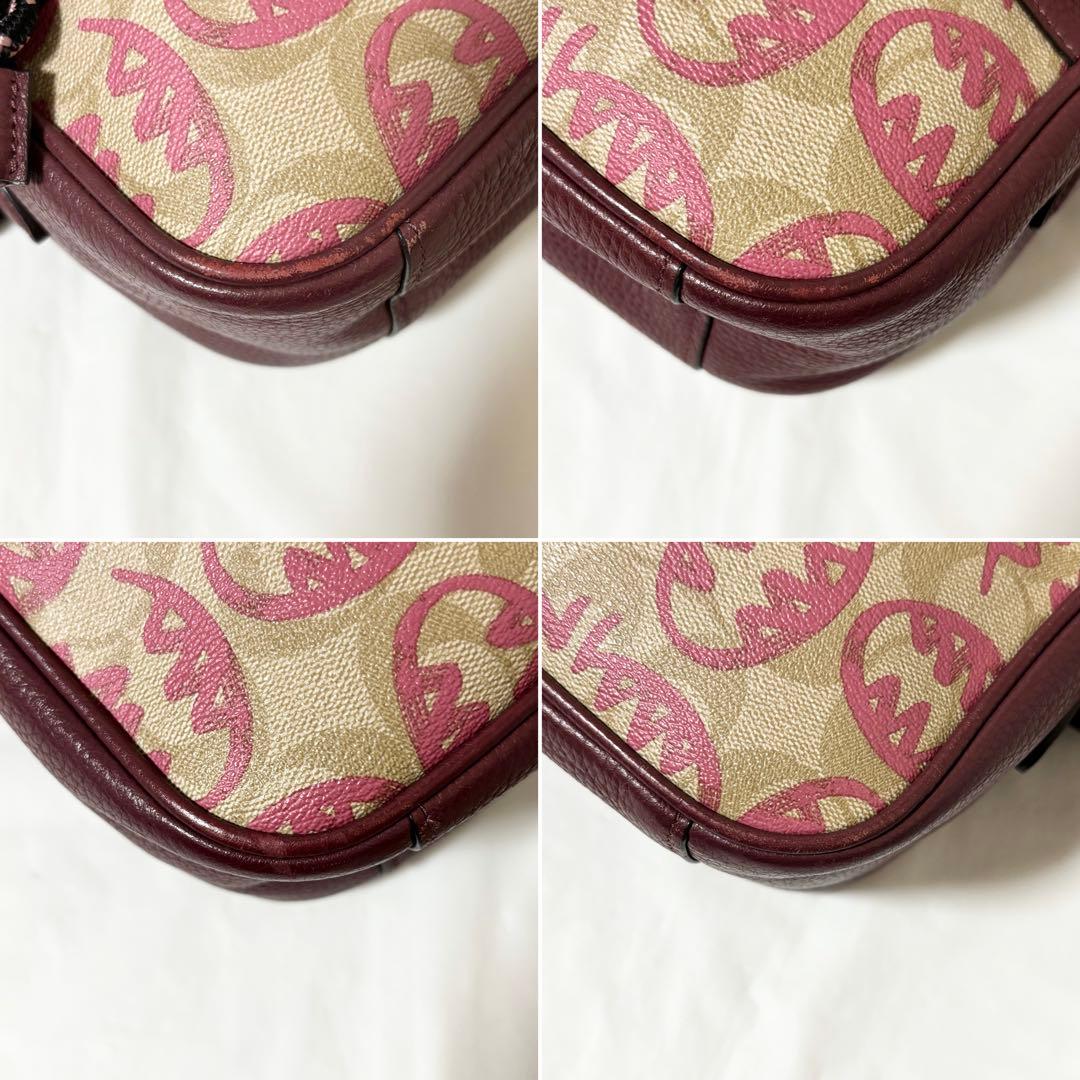 専用❗️COACH・レザー ショルダーバッグ斜め掛け Guang Yuコラボ限定品