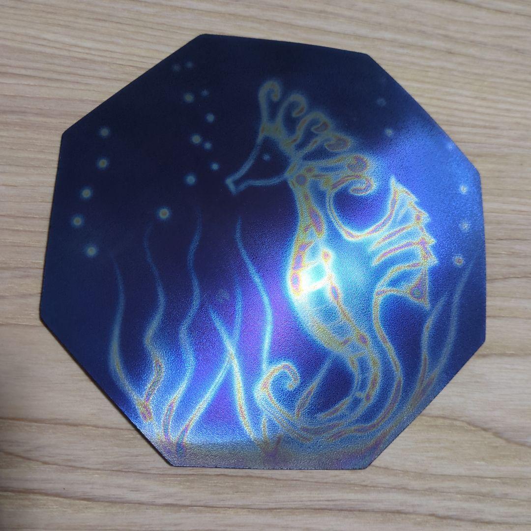 テスラ ８角 大プレート