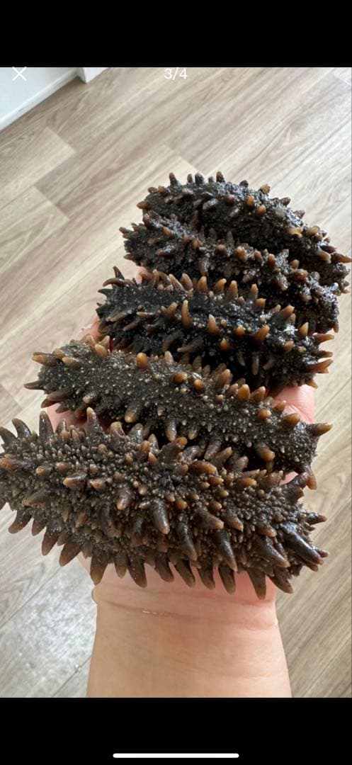 【北海道産】 乾燥なまこ 天然 厳選A級品 100g S(5g以下