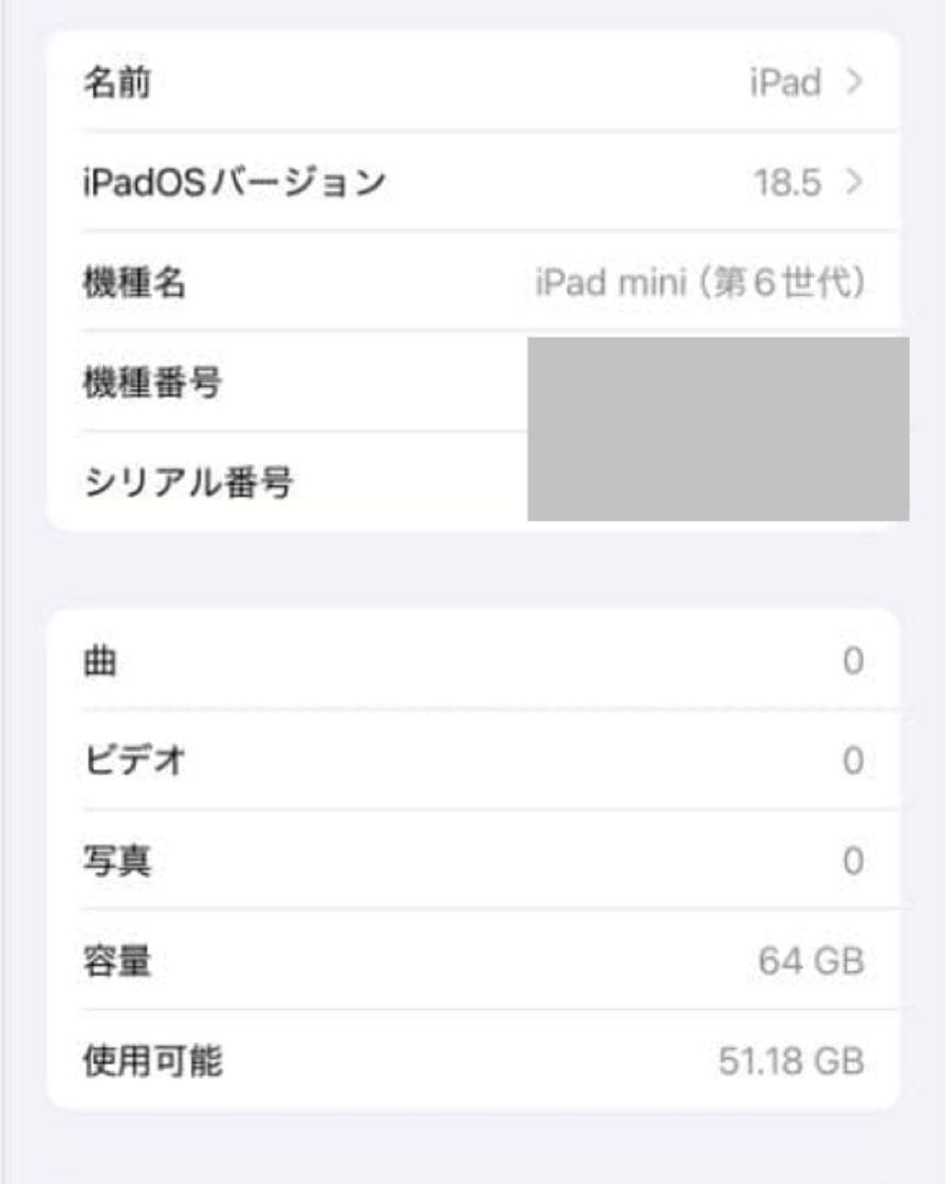 【米国購入】iPad mini 6 64GB Wi-Fi+Cellular 美品