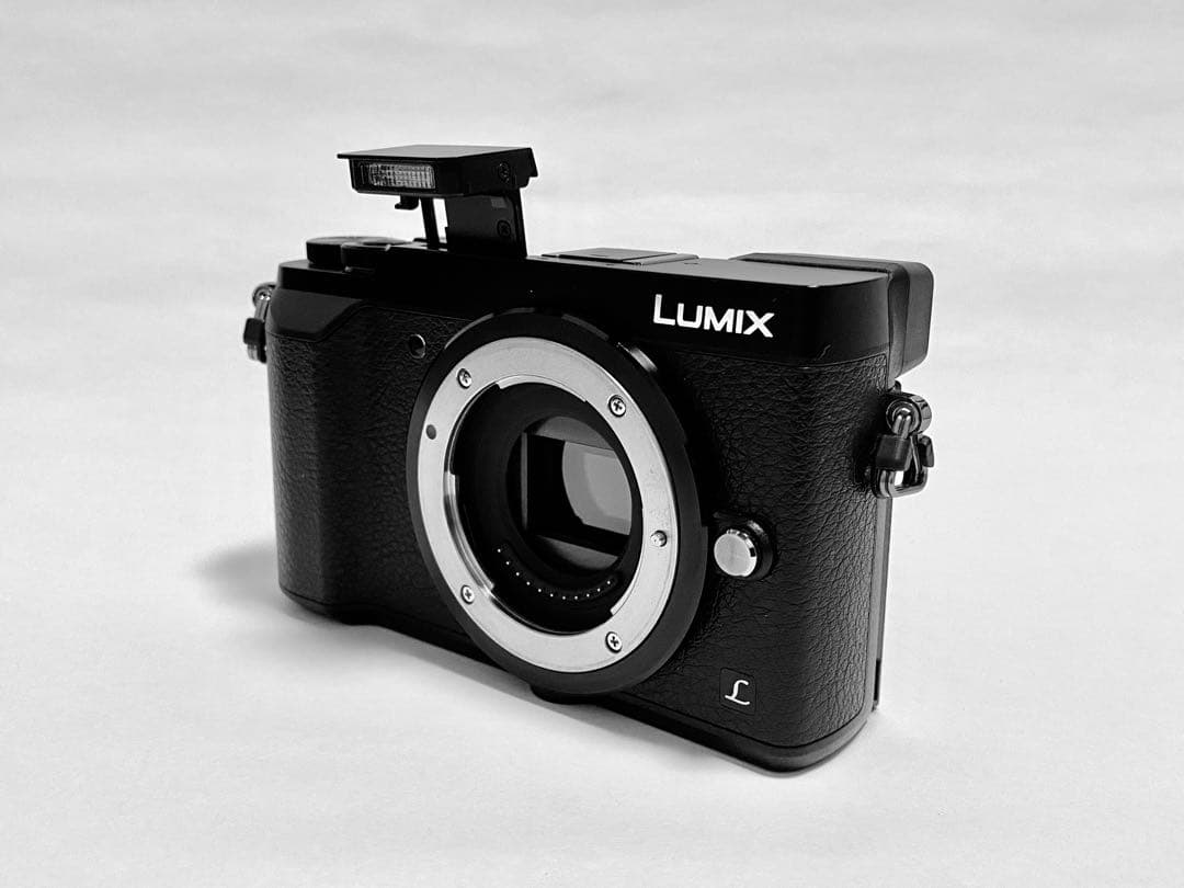 Panasonic DMC-GX7MK2ブラック ダブルズームレンズ