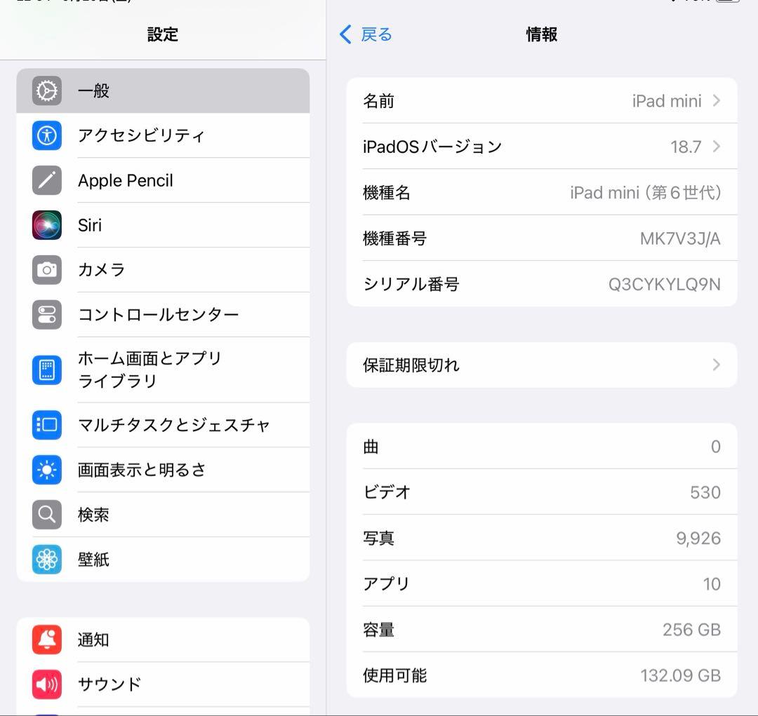 iPad mini 6 バッテリー容量100% 256GB スターライト刻印あり