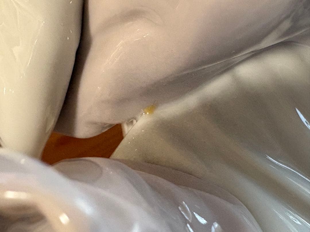 Lladro リヤドロ春の輝きフィギュリン