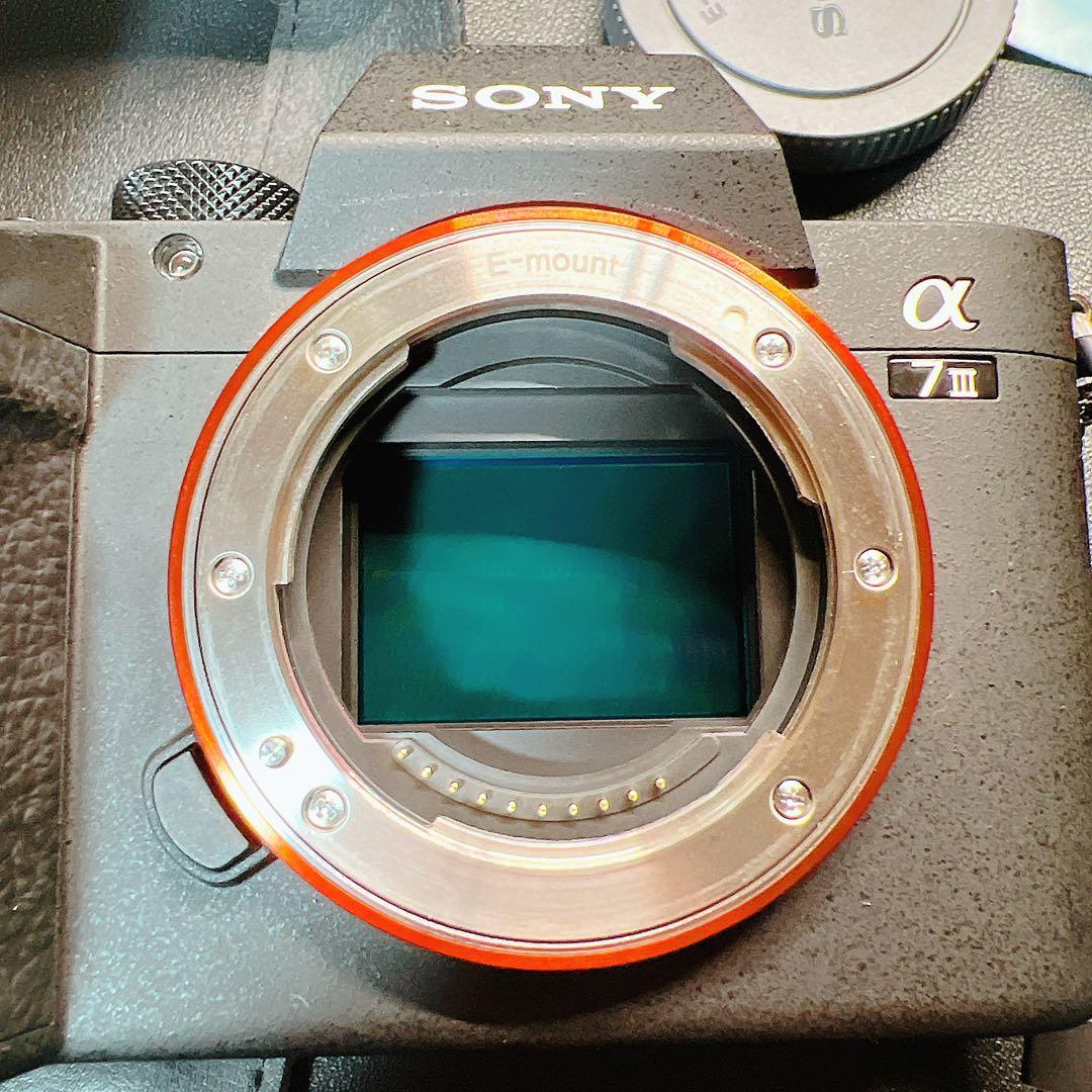 SONY α7 III ILCE-7M3 ボディ シャッター約500回 美品