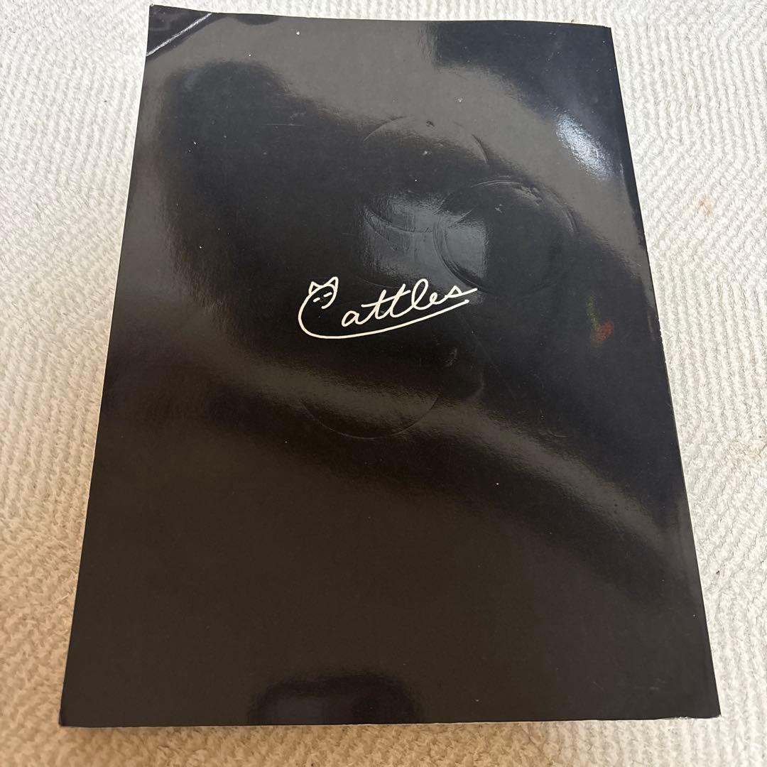 マーケットのニャ術師