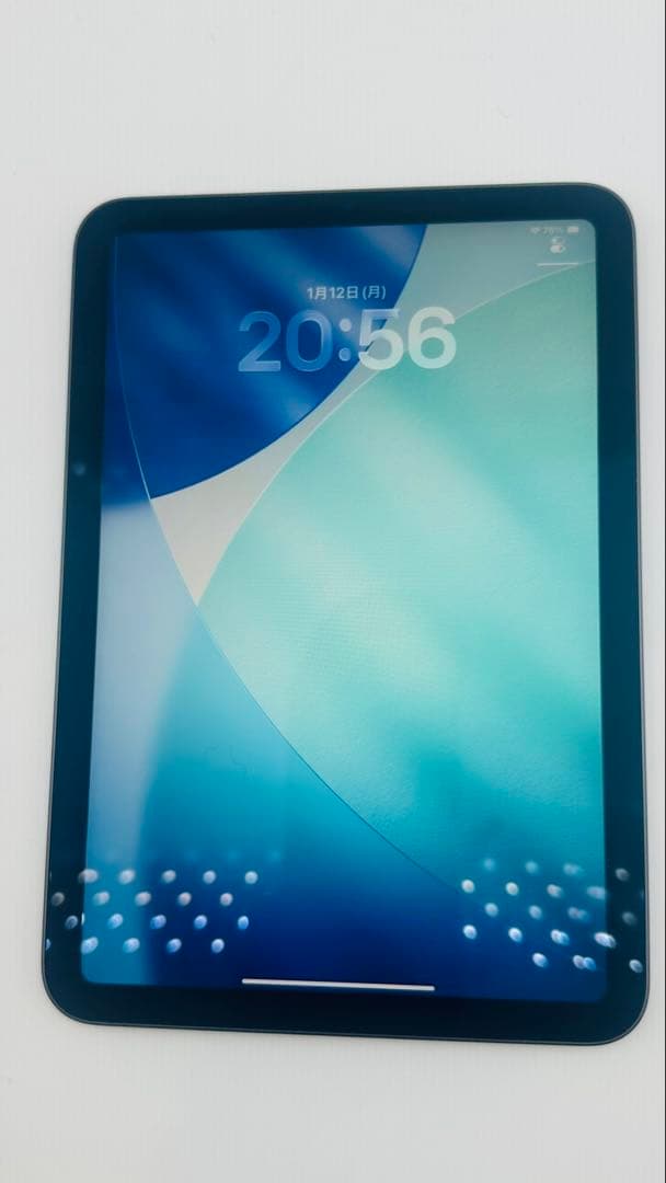 Apple iPad mini (青色) 本体