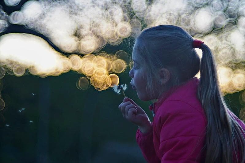 バブルボケレンズPentacon (Diaplan) 150mm f2.8M42