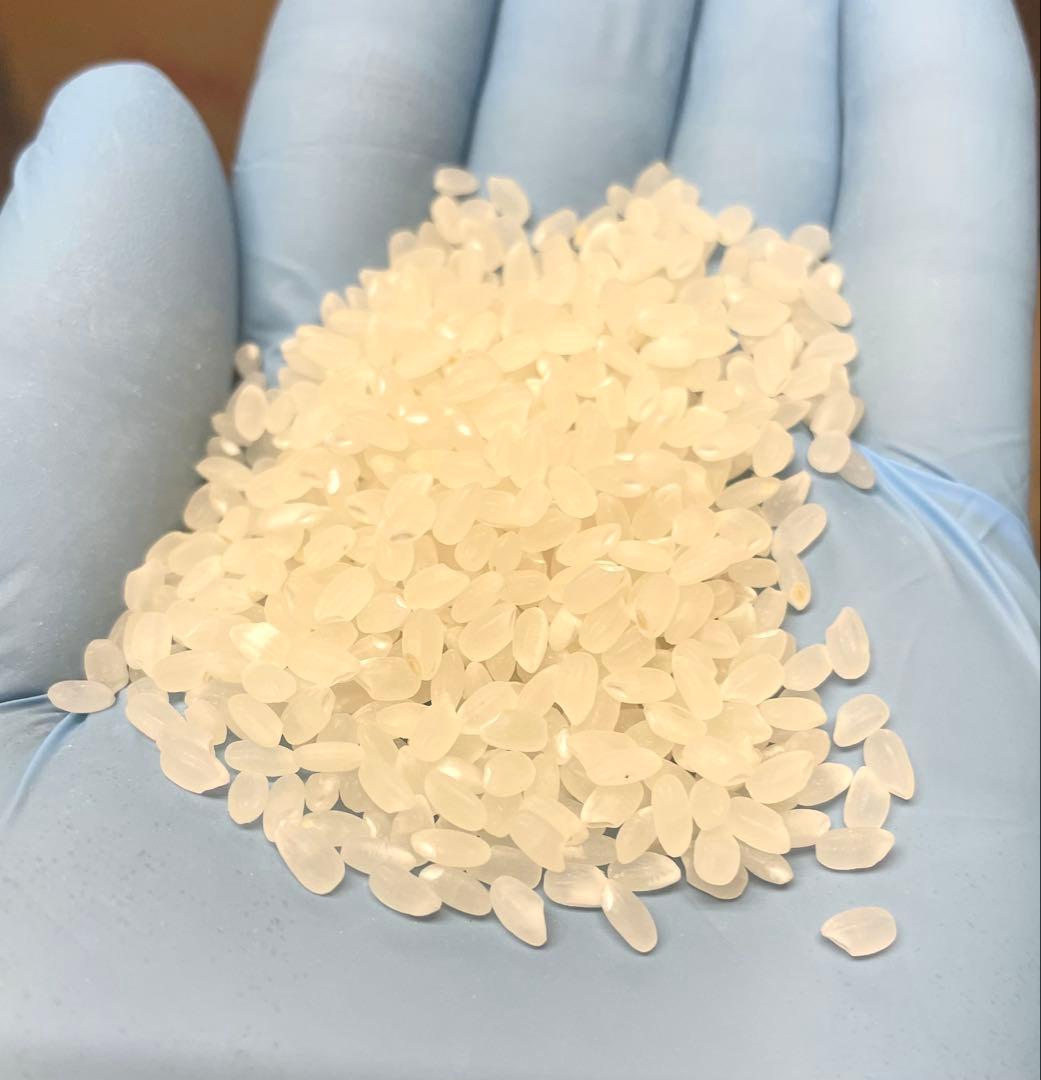 福島県産　新米　30kg