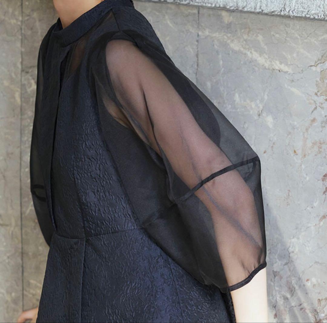 RUIRUE BOUTIQUE シアーランタンスリーブふくれジャカードドレス