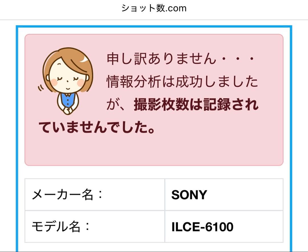 Sony α6100ミラーレスカメラ レンズ、128GB SDカード付き