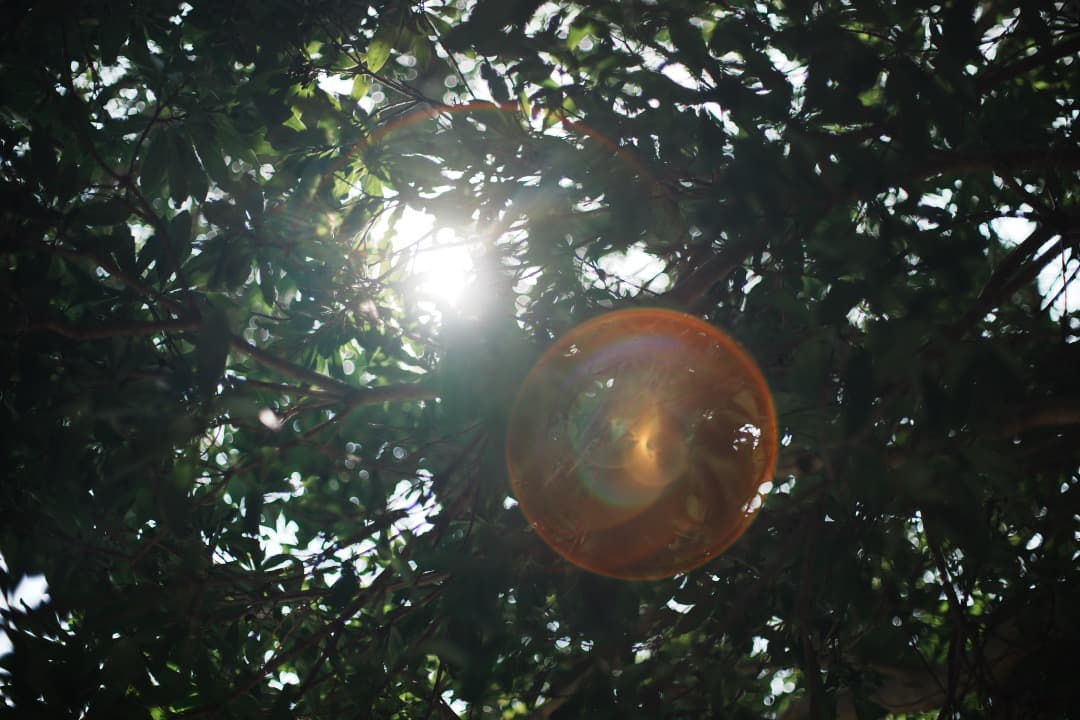 【美品】動作◎ ペンタックス SMC Takumar 50mm F1.4 487