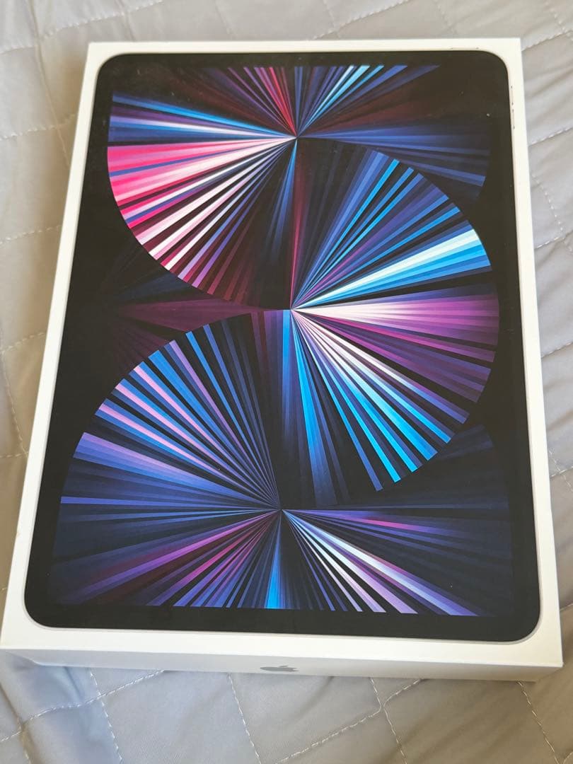 Apple iPad Pro 3世代　256GB