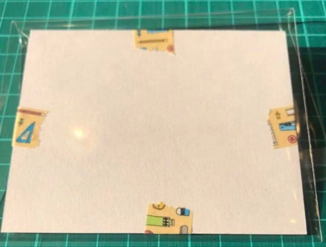 【美品　丁寧梱包】ポケモンカード　メガメガニウムex sar