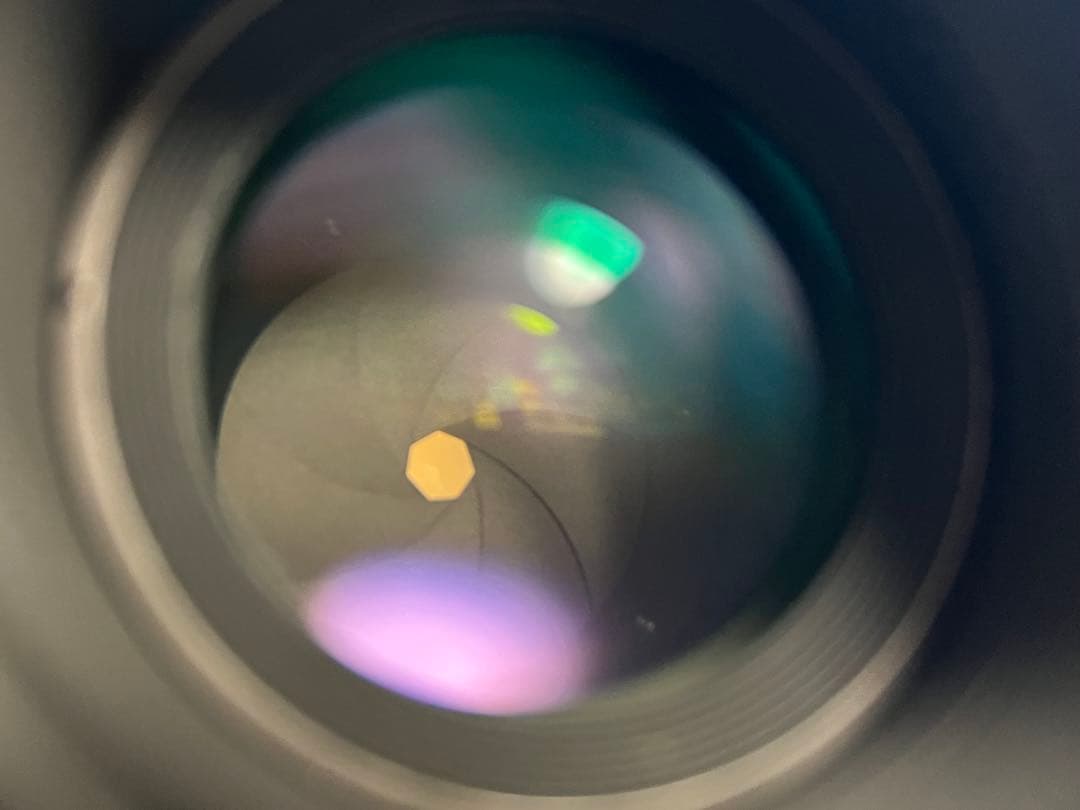 ニコン AI AF Micro-Nikkor 105mm f/2.8D