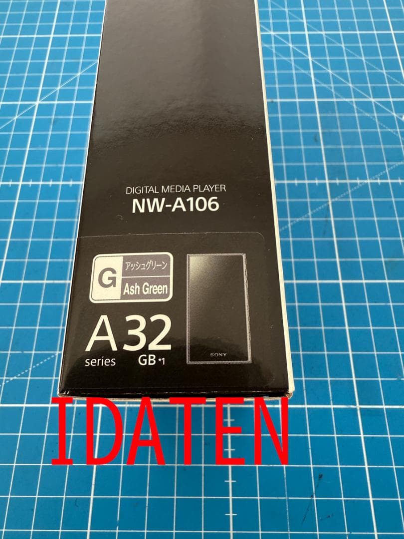 Sony Walkman NW-A106/GC デジタルメディアプレーヤー