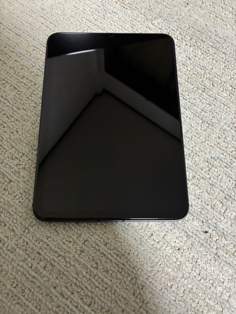 極美品SIMフリー iPad mini (第6世代) 256GB スペースグレイ
