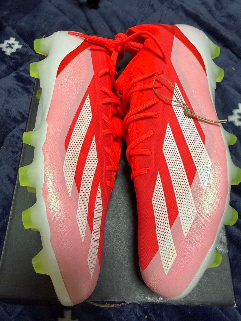 イワサキコーチ