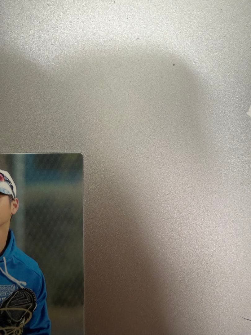 2017年 ホームランシリーズコレクションカードホルダー