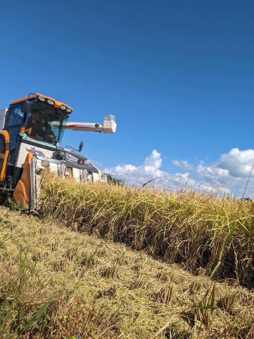 令和７年秋田県美郷町産あきたこまち10kg