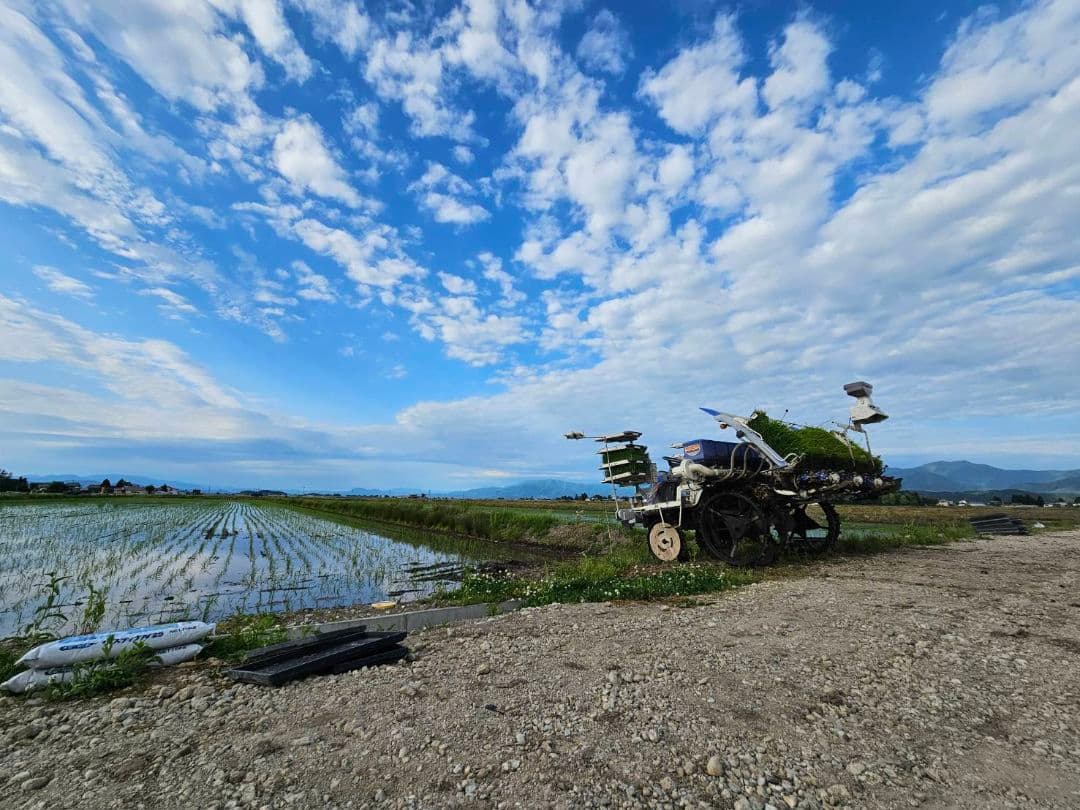 令和７年秋田県美郷町産あきたこまち10kg