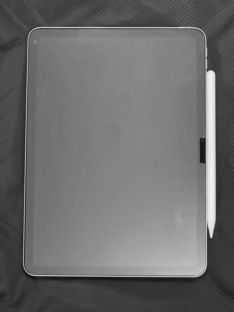 iPad Air(M2)128GB 11インチ グレー+アップルペンシルプロ付き