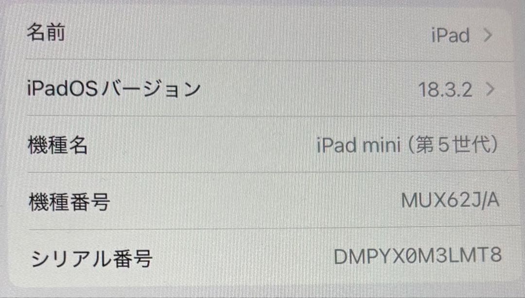 iPad mini (第５世代) Wi-Fi + Cellular 64GB